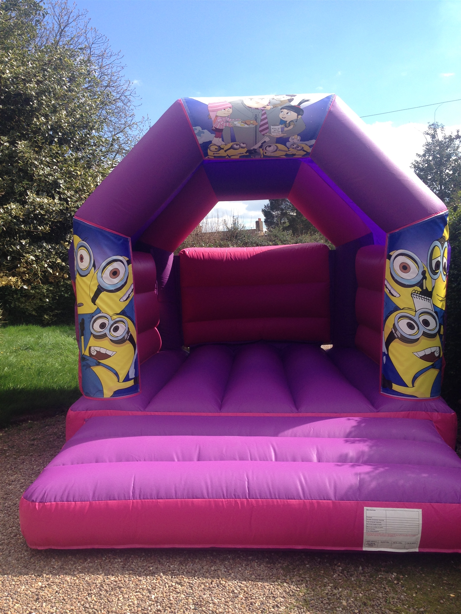 11 X 15 Pink Minions Bouncy Castle Bouncy Castle Hire In Selby York Goole