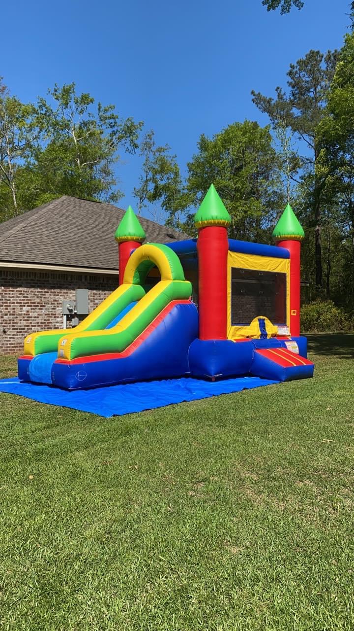 Bounce House Combos (Dry) - Delivery and Setup of Inflatables and party ...