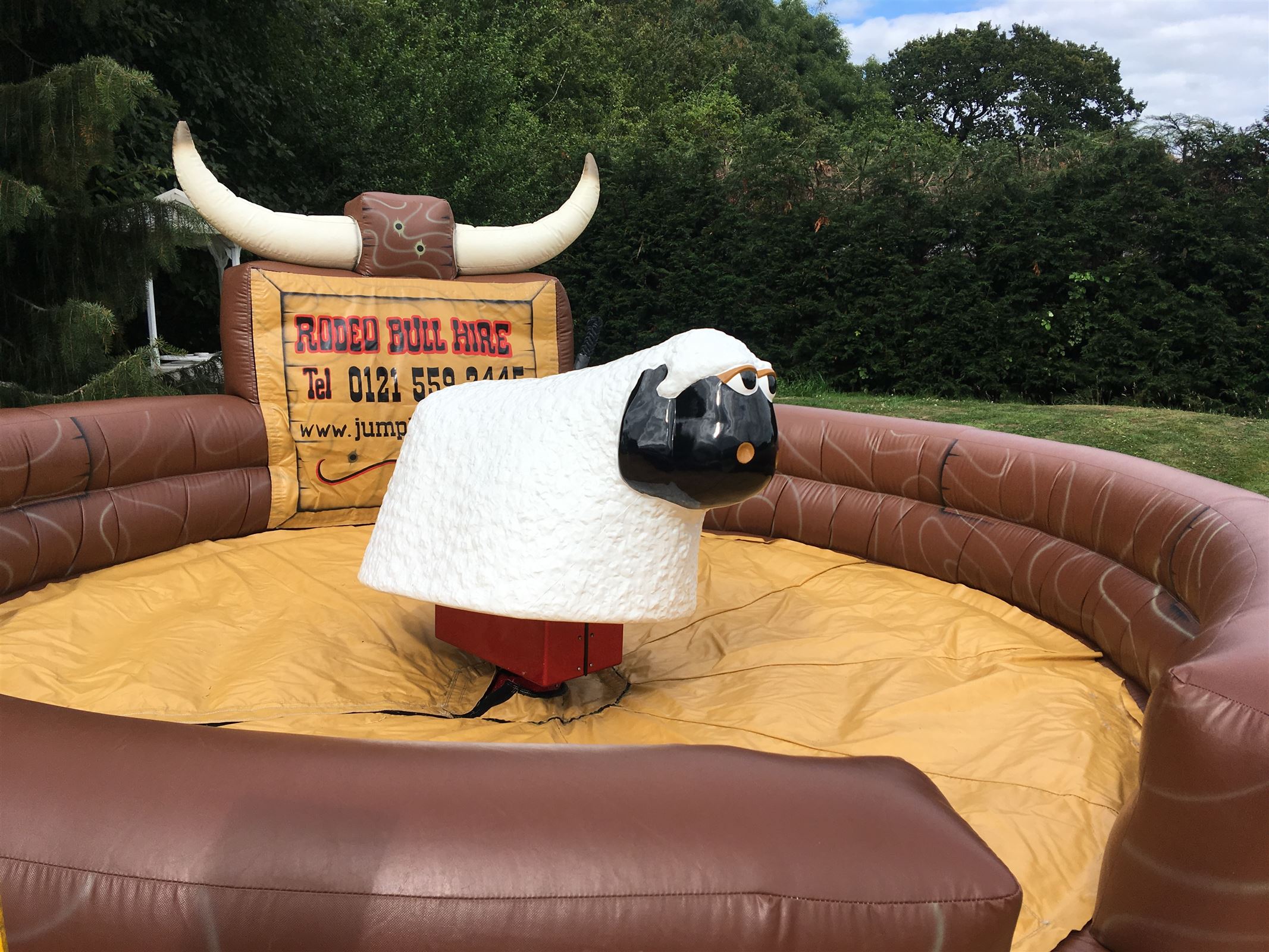 bull riding hire