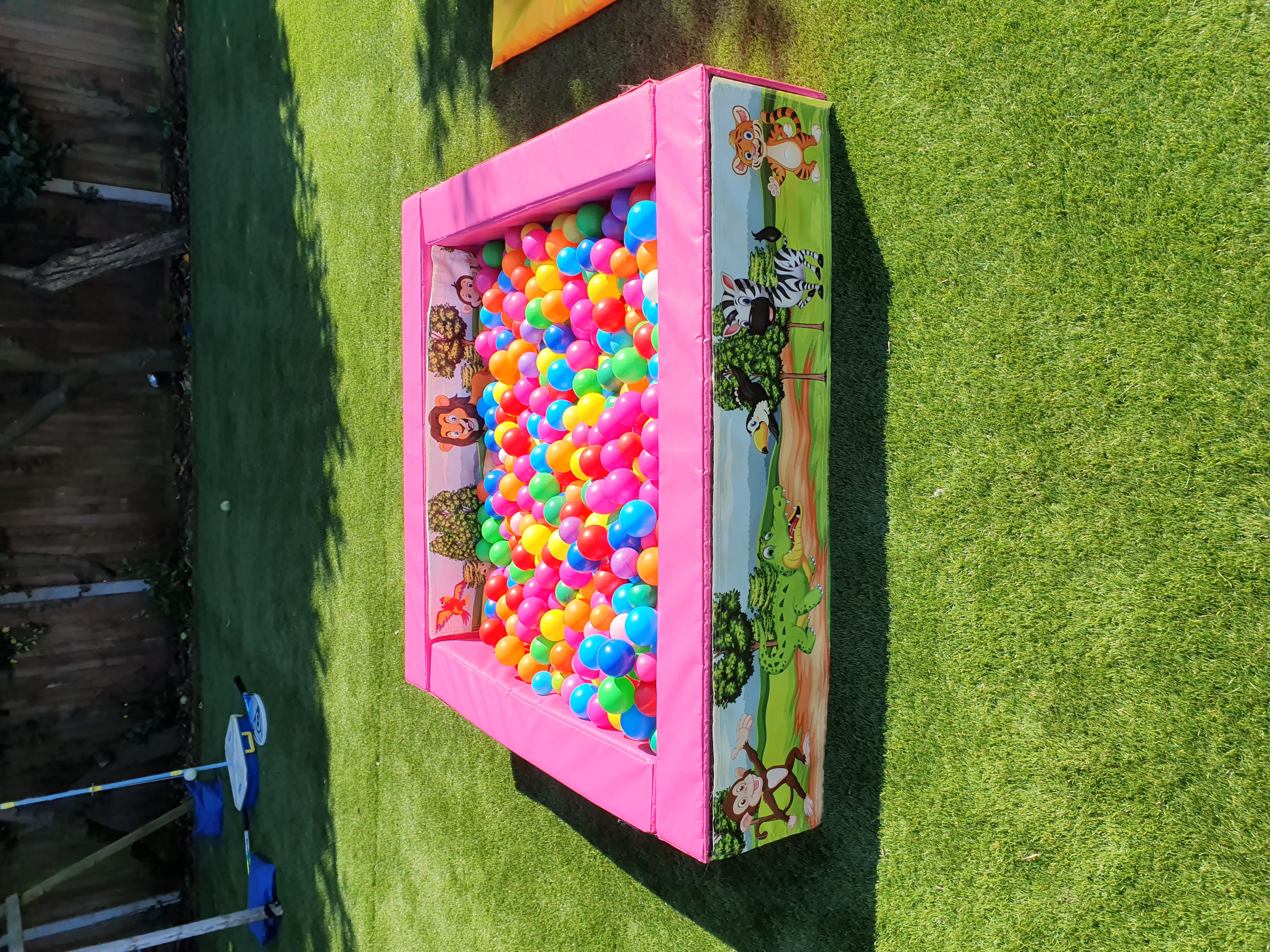 bouncy castle and ball pit