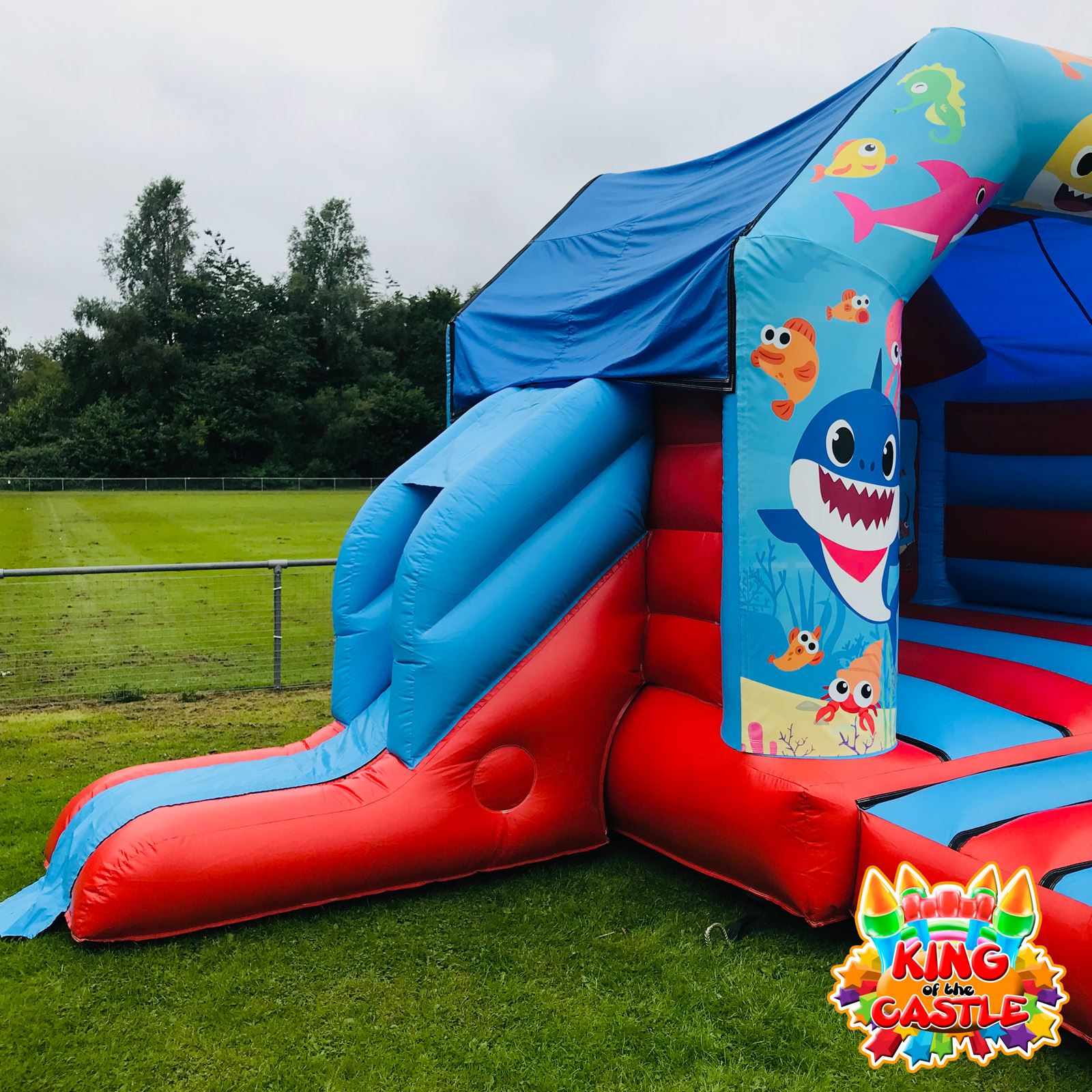 baby shark bouncy castle hire