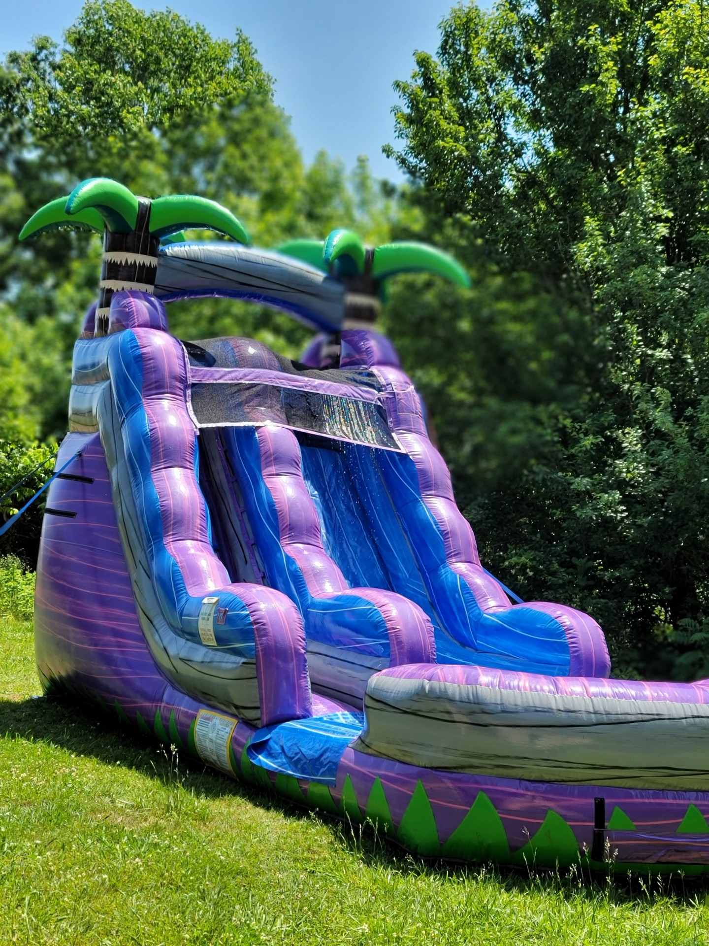 15ft Purple Crush Water Slide - Bounce House Rentals in Danville ...