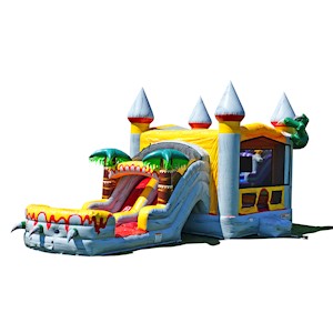 Bounce Houses & Bounce/Slide Combos - Bounce House Rentals in ...