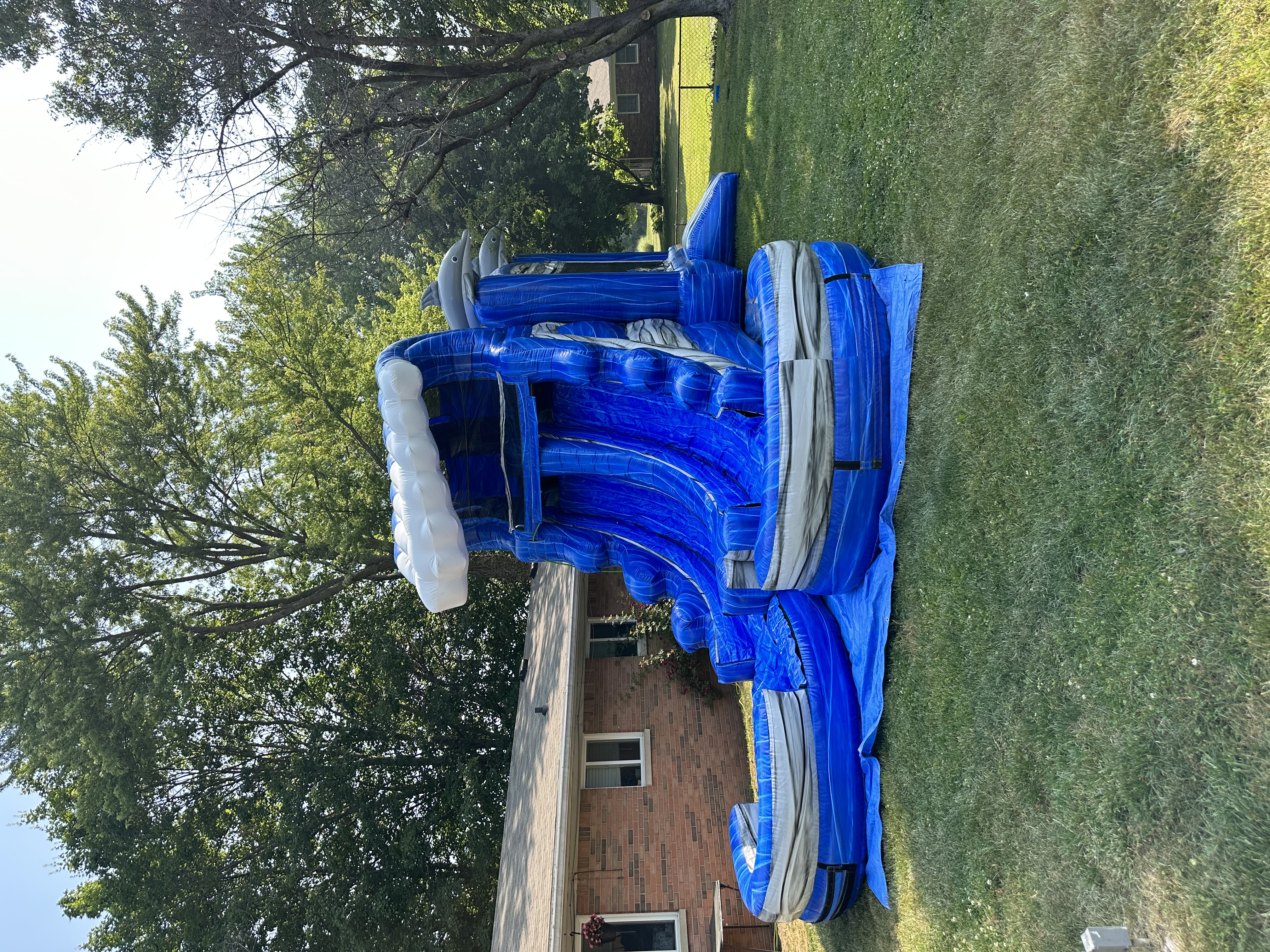Blue Dolphin Double Combo WET - Hire in indianapolis | Indy Party ...