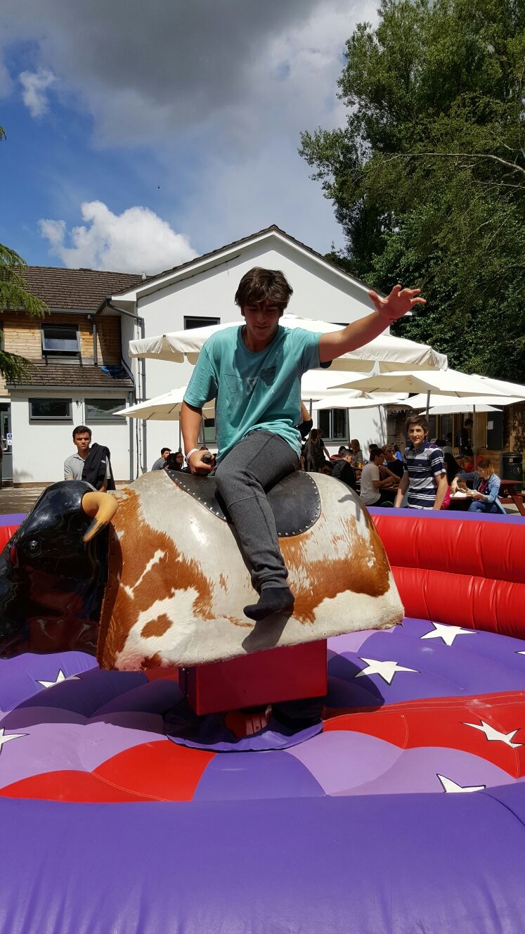 Bucking Bulls For Sale Is This The Next Rodeo Champion You Decide - i98m9yo