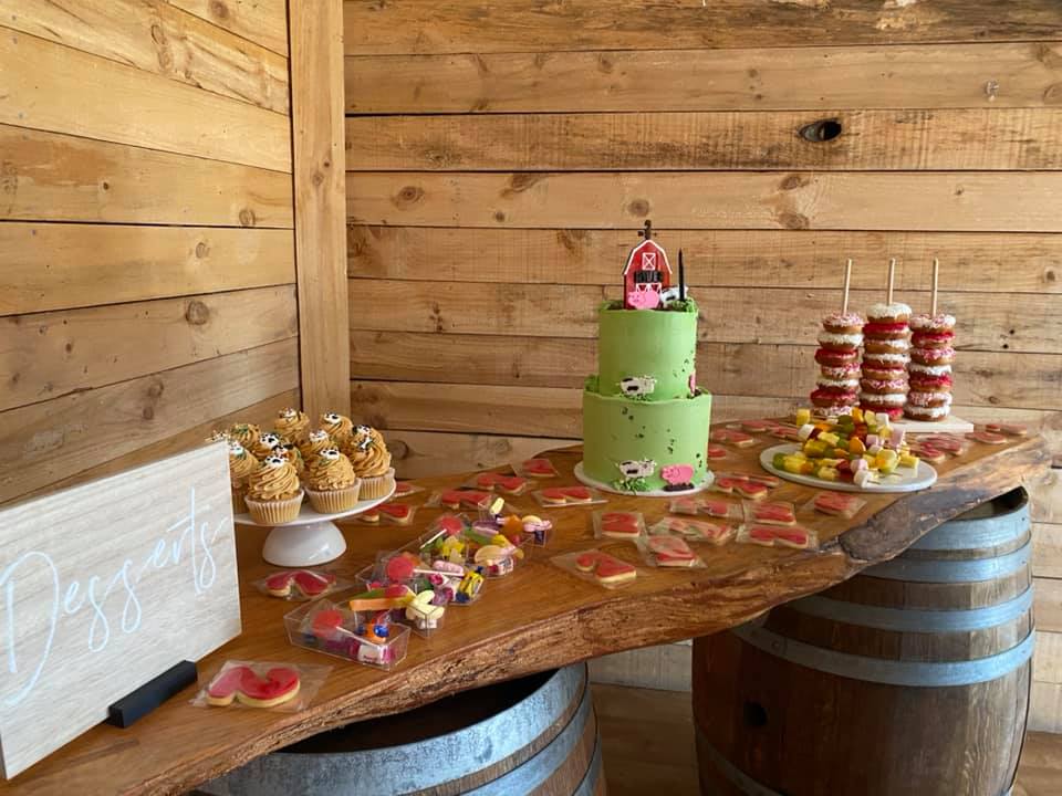 kids-birthday-party-hire-in-christchurch