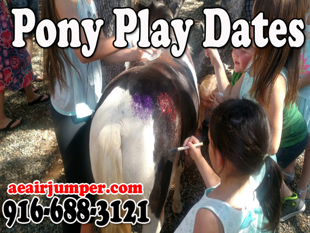 Mini Session - Pony Play Date Party Rentals Sacramento