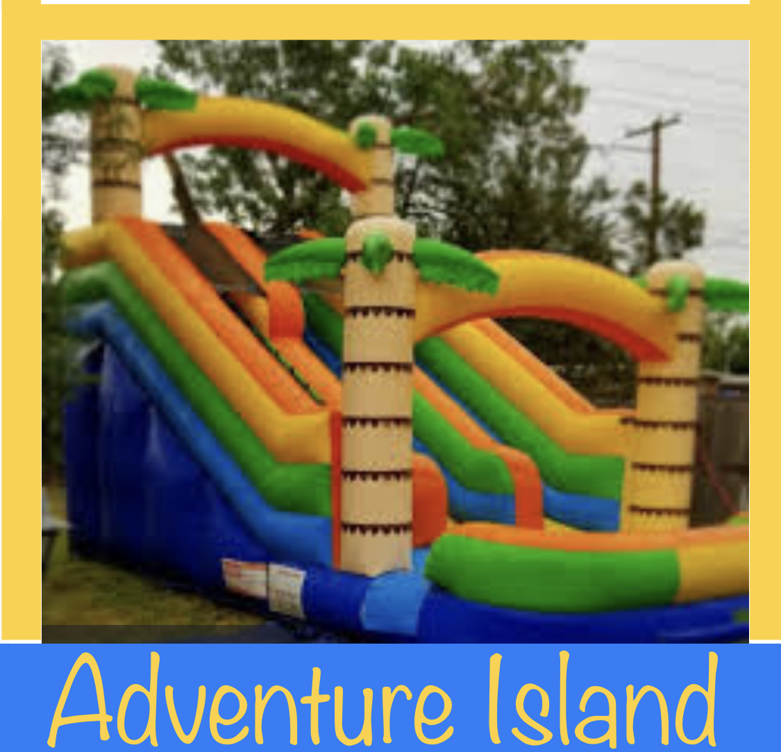 ADVENTURE ISLAND DUAL LANE TROPICAL COMPETITIVE SLIDE WET Inflatable