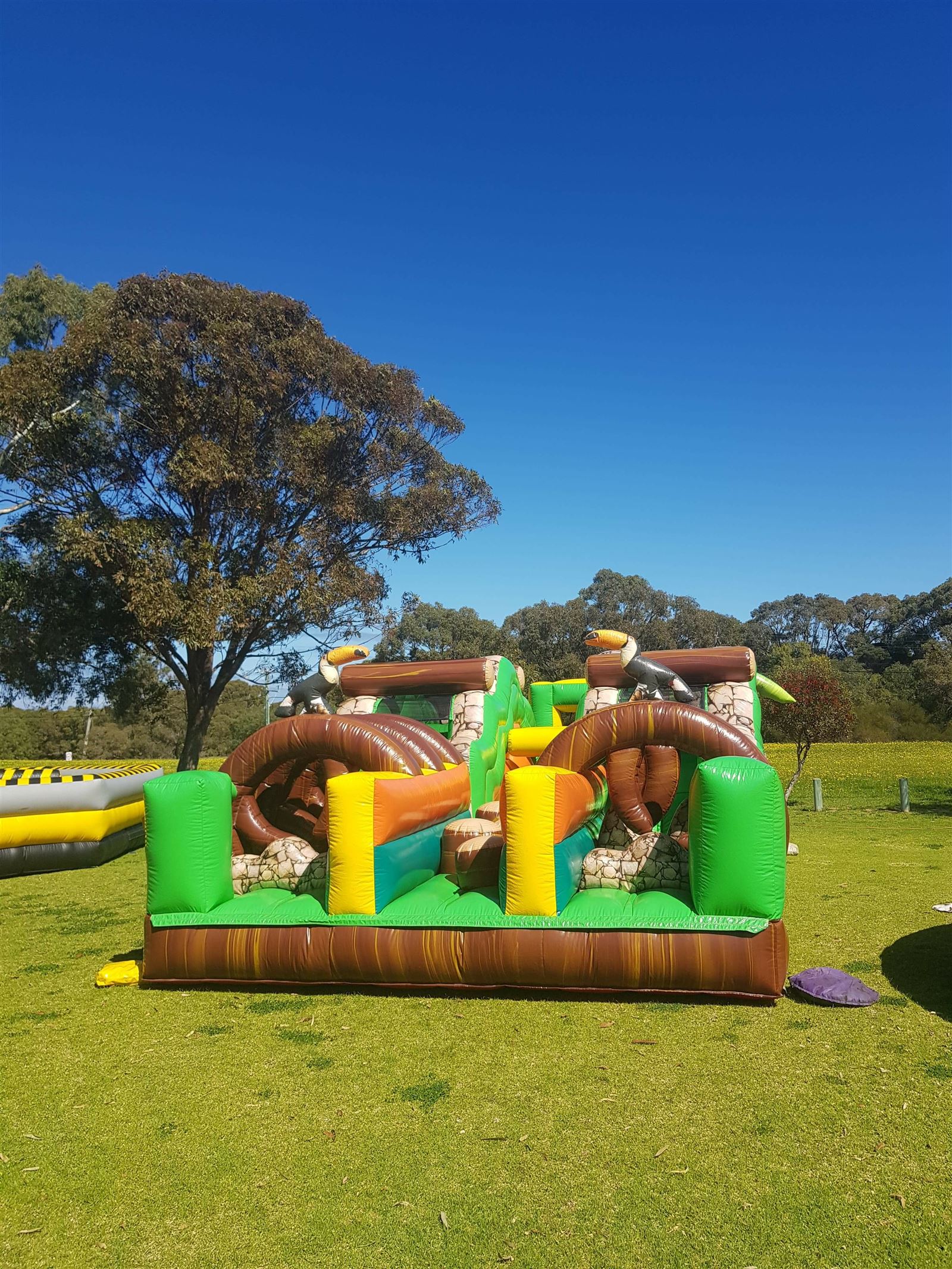 Inflatable Jungle Obstacle Course Hire Perth Mad Cow Entertainment