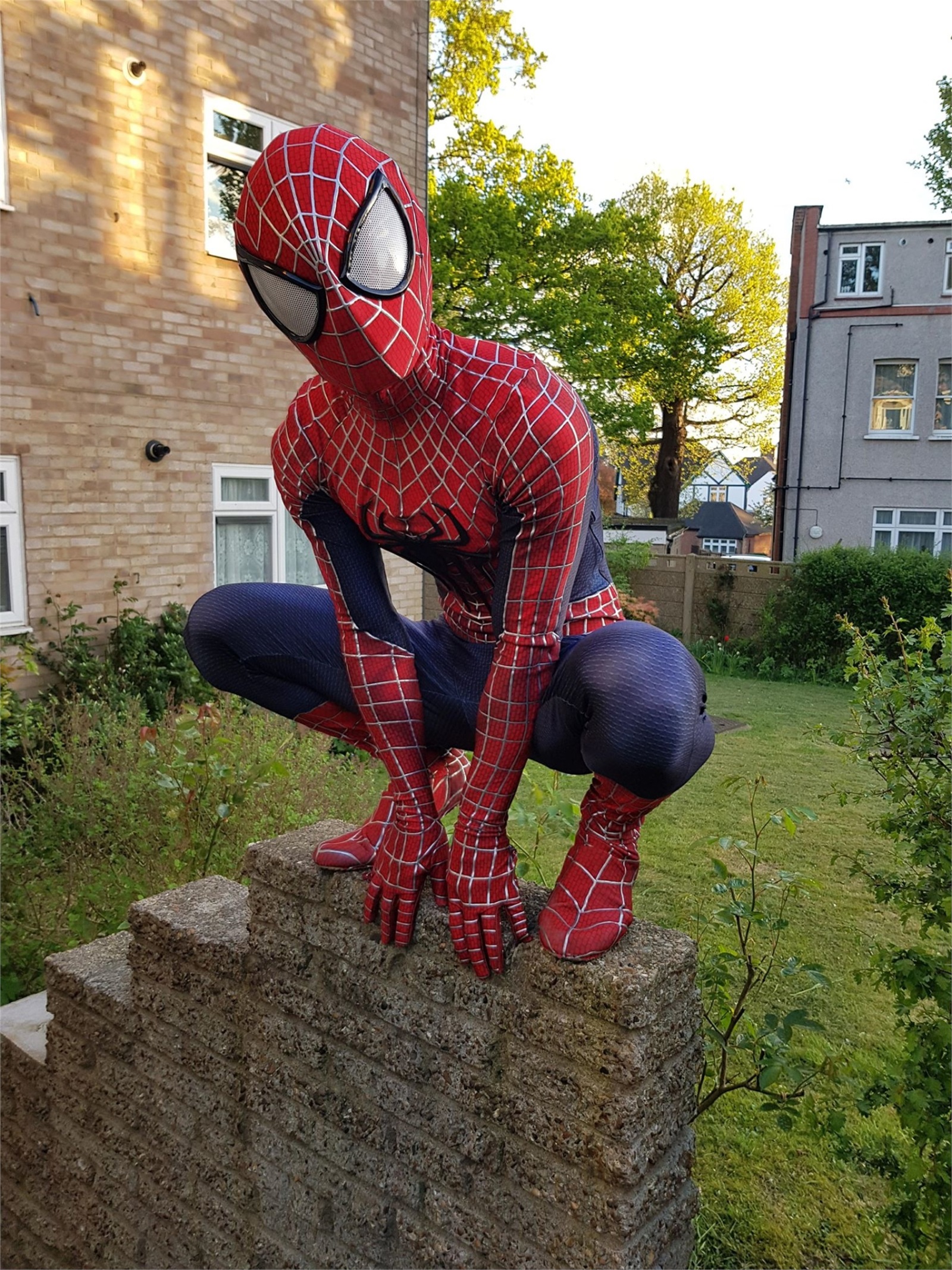 The Amazing Spider-man Mascot - 1 Hour Hire - Bouncy Castle Hire in ...