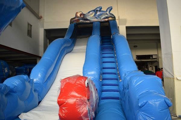 shark club water slide