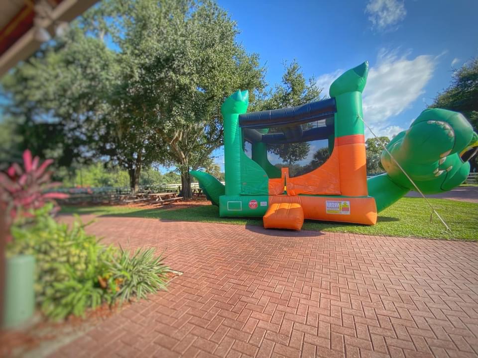 gator-belly-bounce-house-rent-in-florida