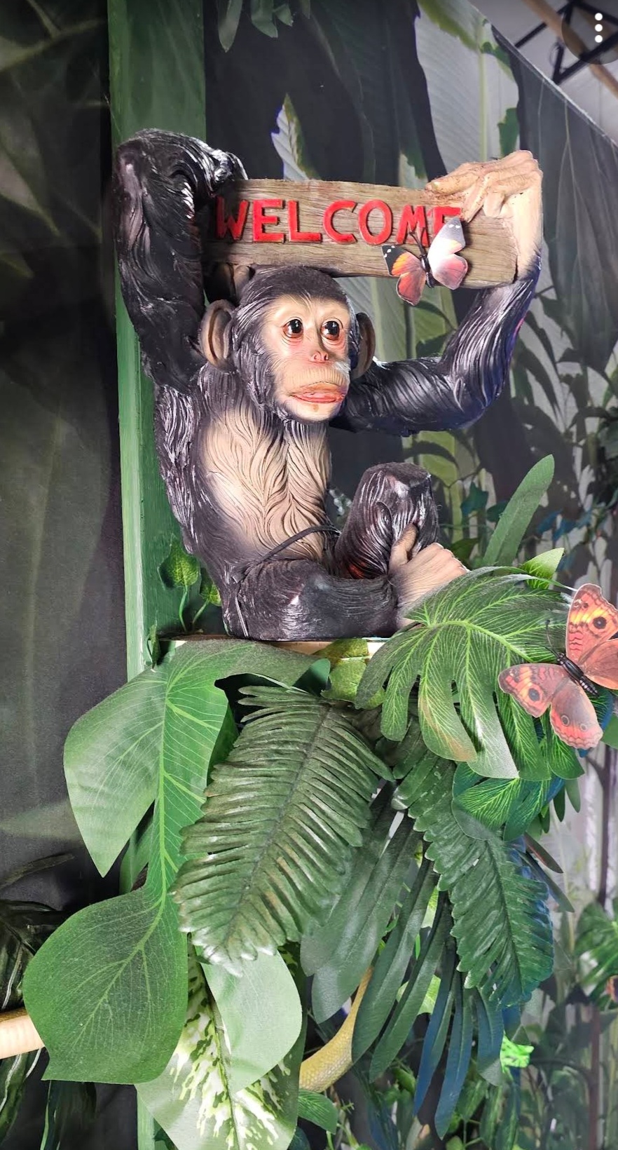 Rainforest Adventure Party Room Hire in AL Bouncers Inflatable Rentals