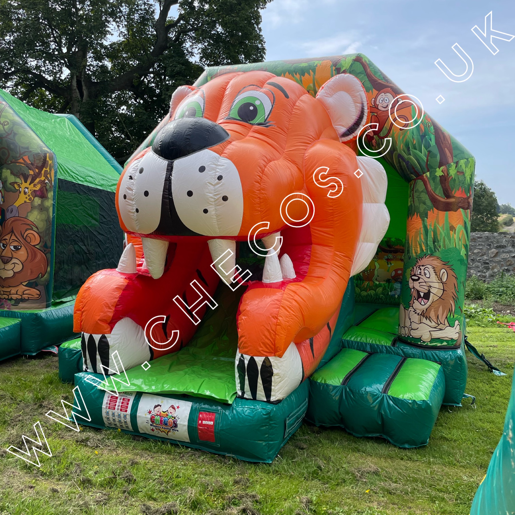 bouncy castle hire gorey