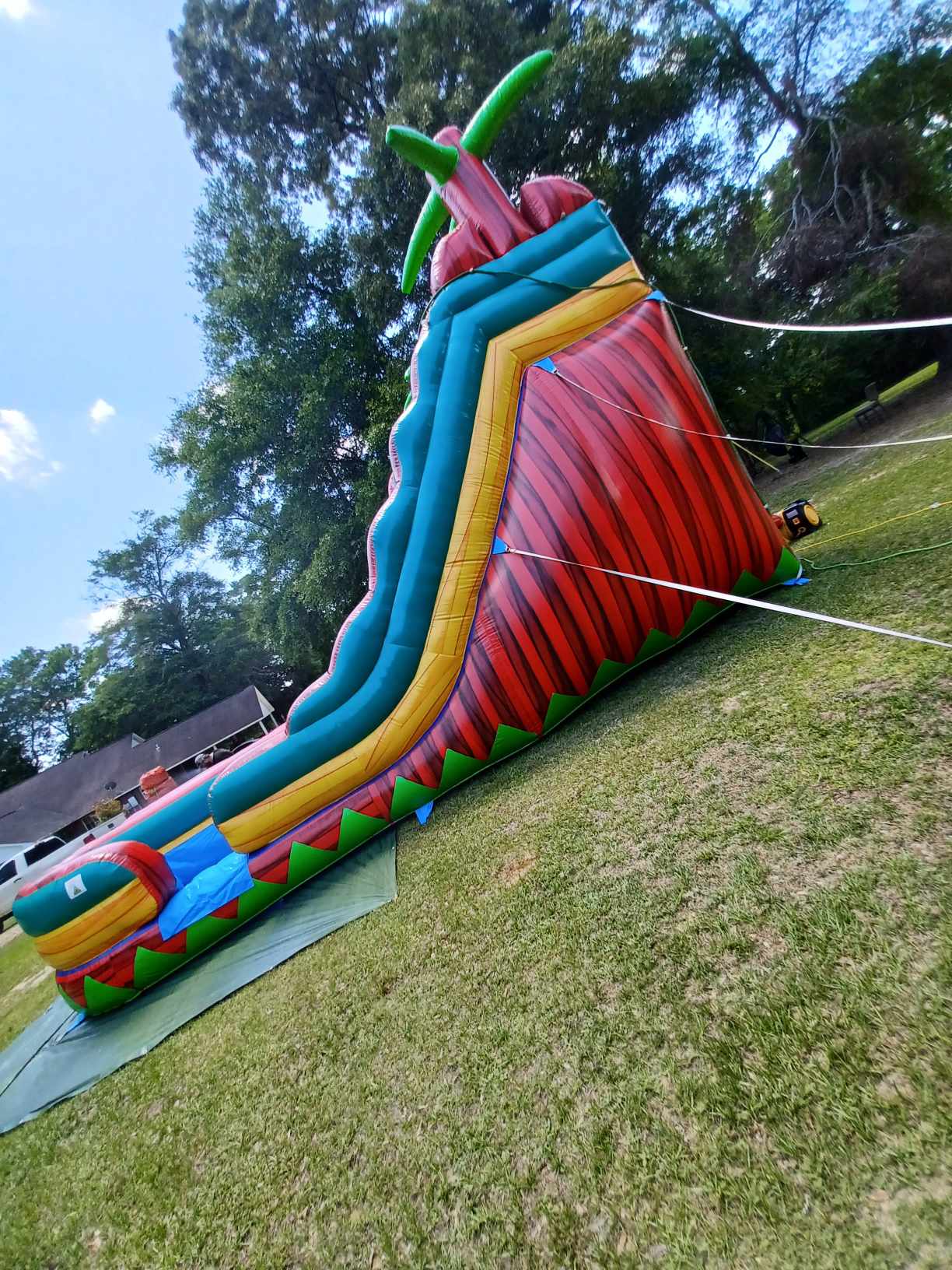 19Hx28Lx14W Double Lane Twin Palms Plunge - Inflatables, Bounce House ...