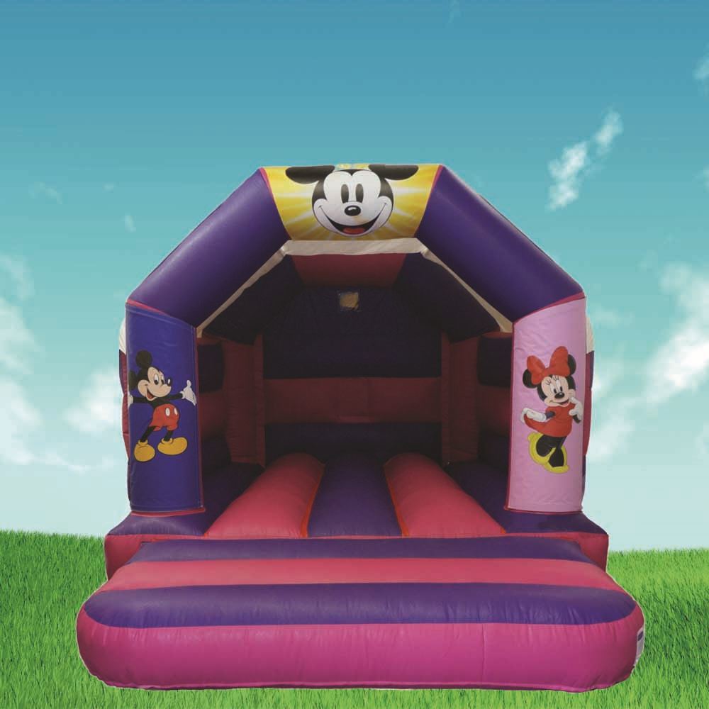 pink and purple bouncy castle