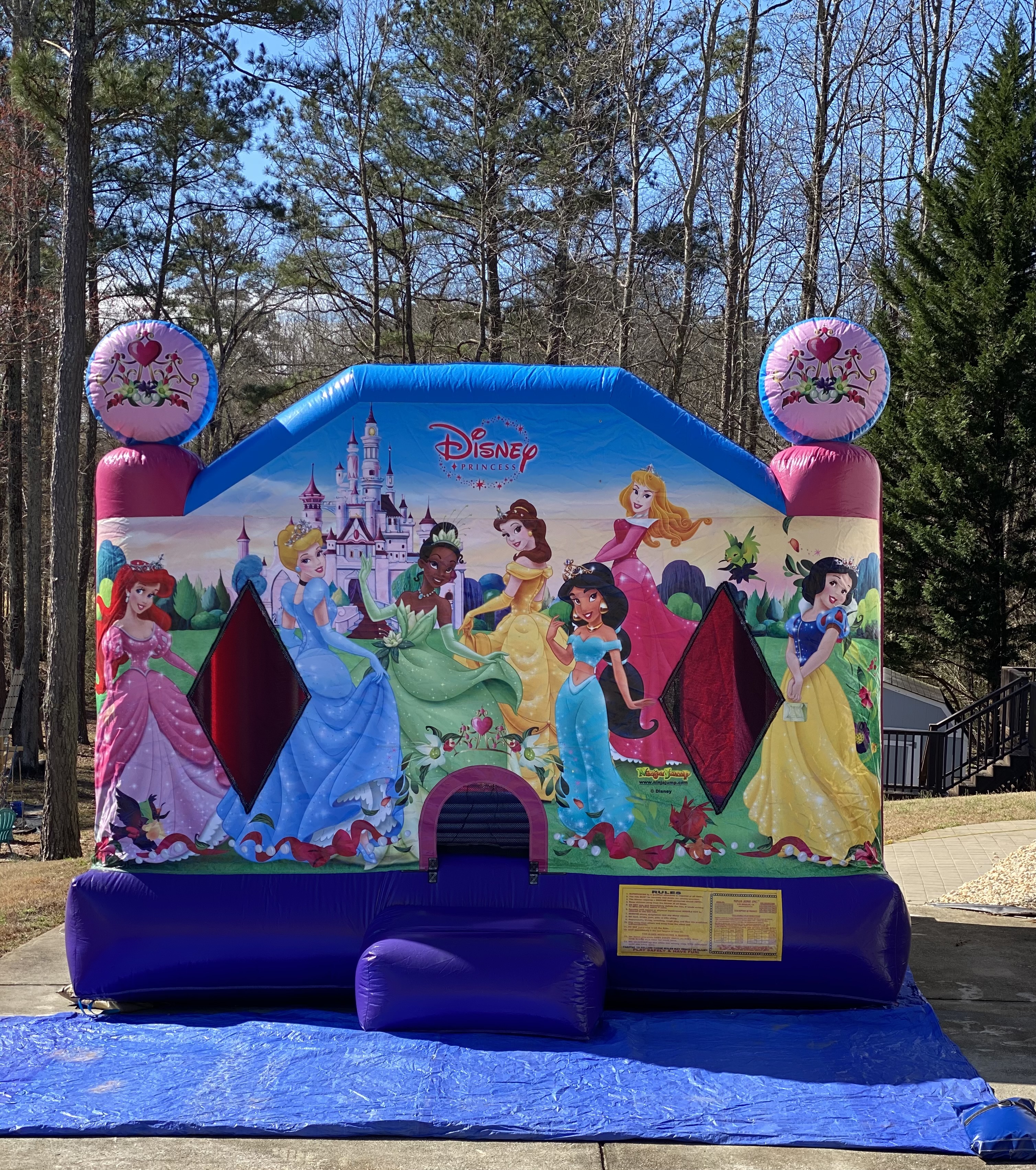 Disney Princess 15X15 - Bounce Houses, Water Slides, Event Rentals