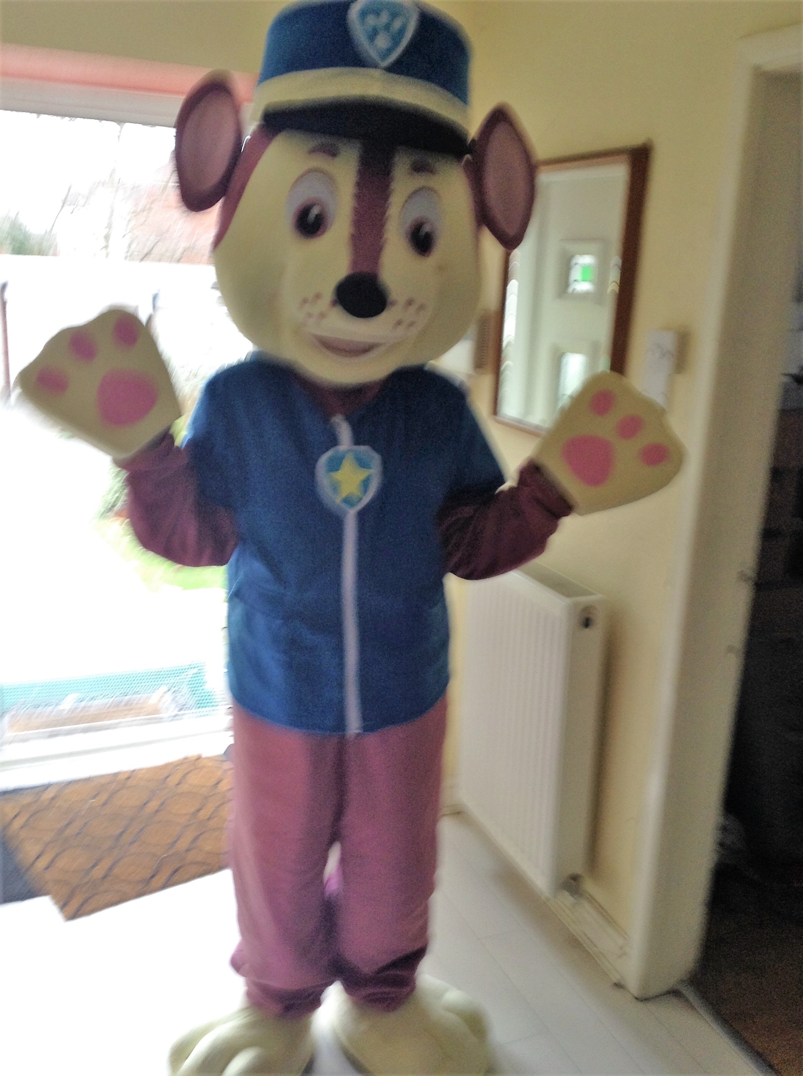 paw patrol adult costume hire