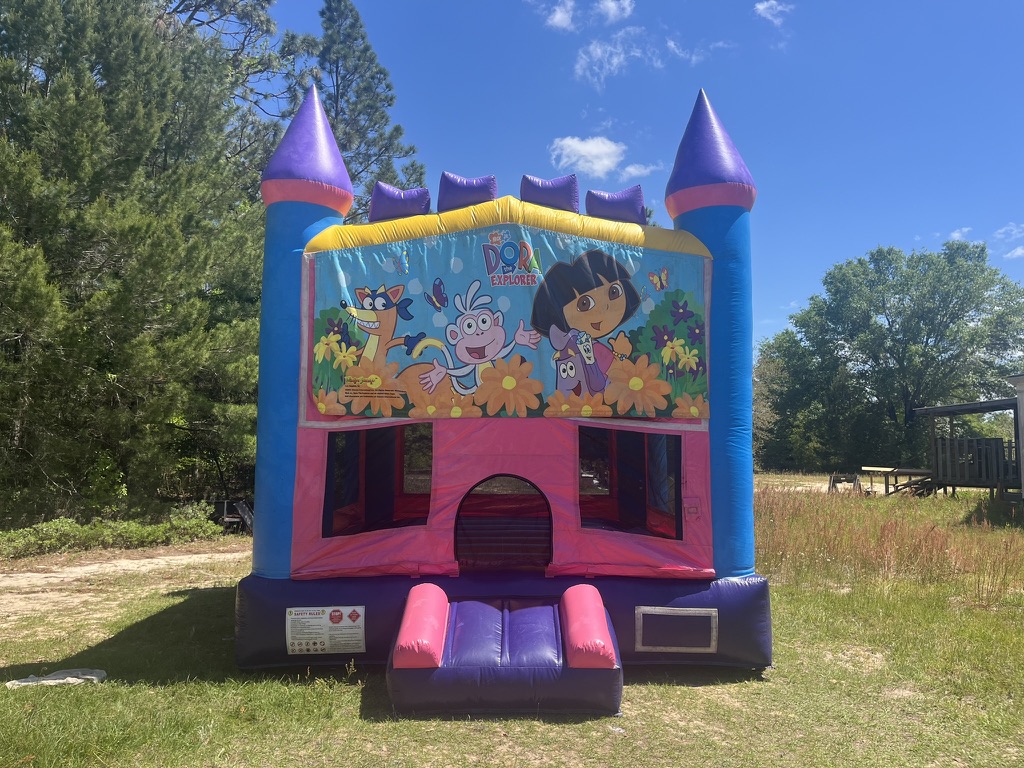Bounce Houses Hire in florida