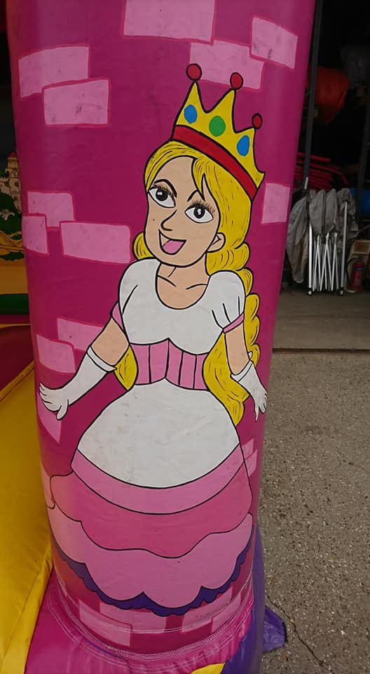 intency pink princess castle