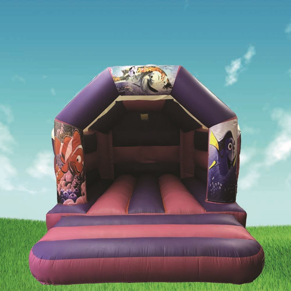 pink and purple bouncy castle