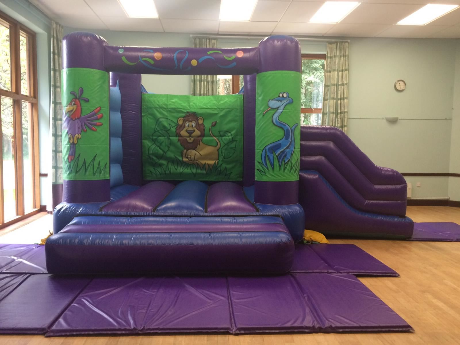 Other Inflatables Best Bouncy Castle Hire service in Taunton