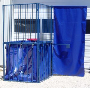 Carnival Dunk Booth - Best Party Rentals, Inflatable Rental, Bounce ...