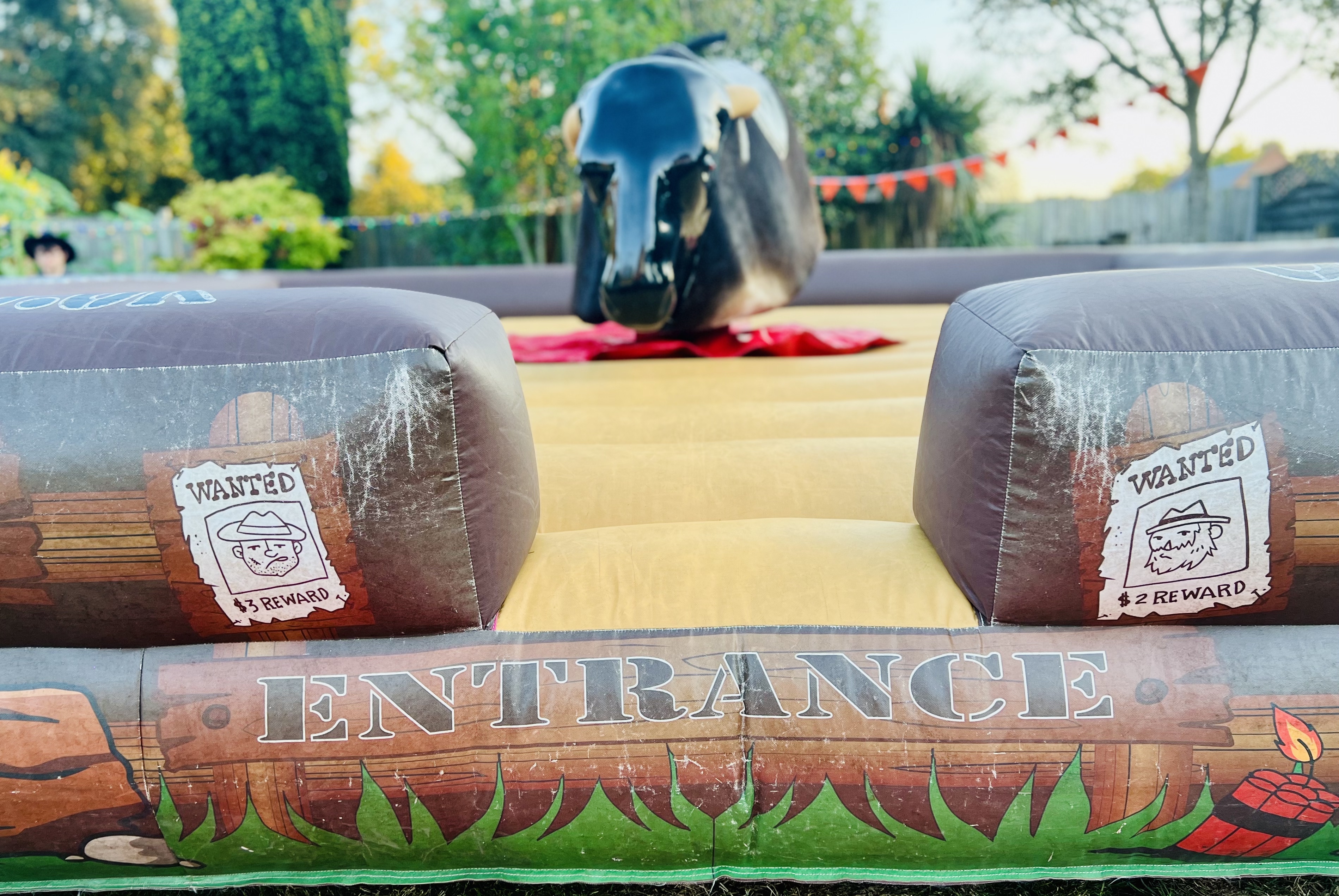 Bulll Rodeo Game Rodeo Bull