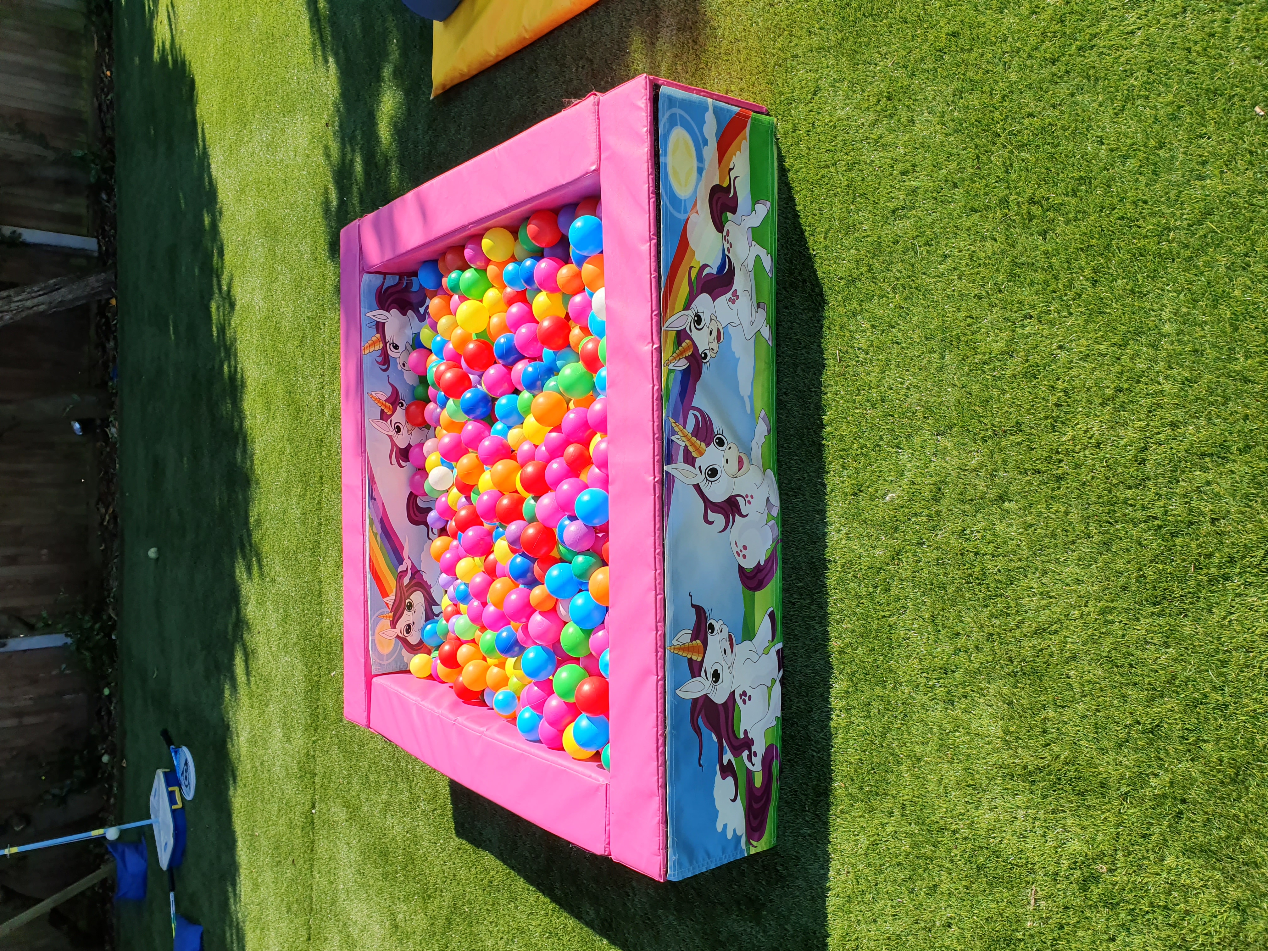 bouncy castle and ball pit