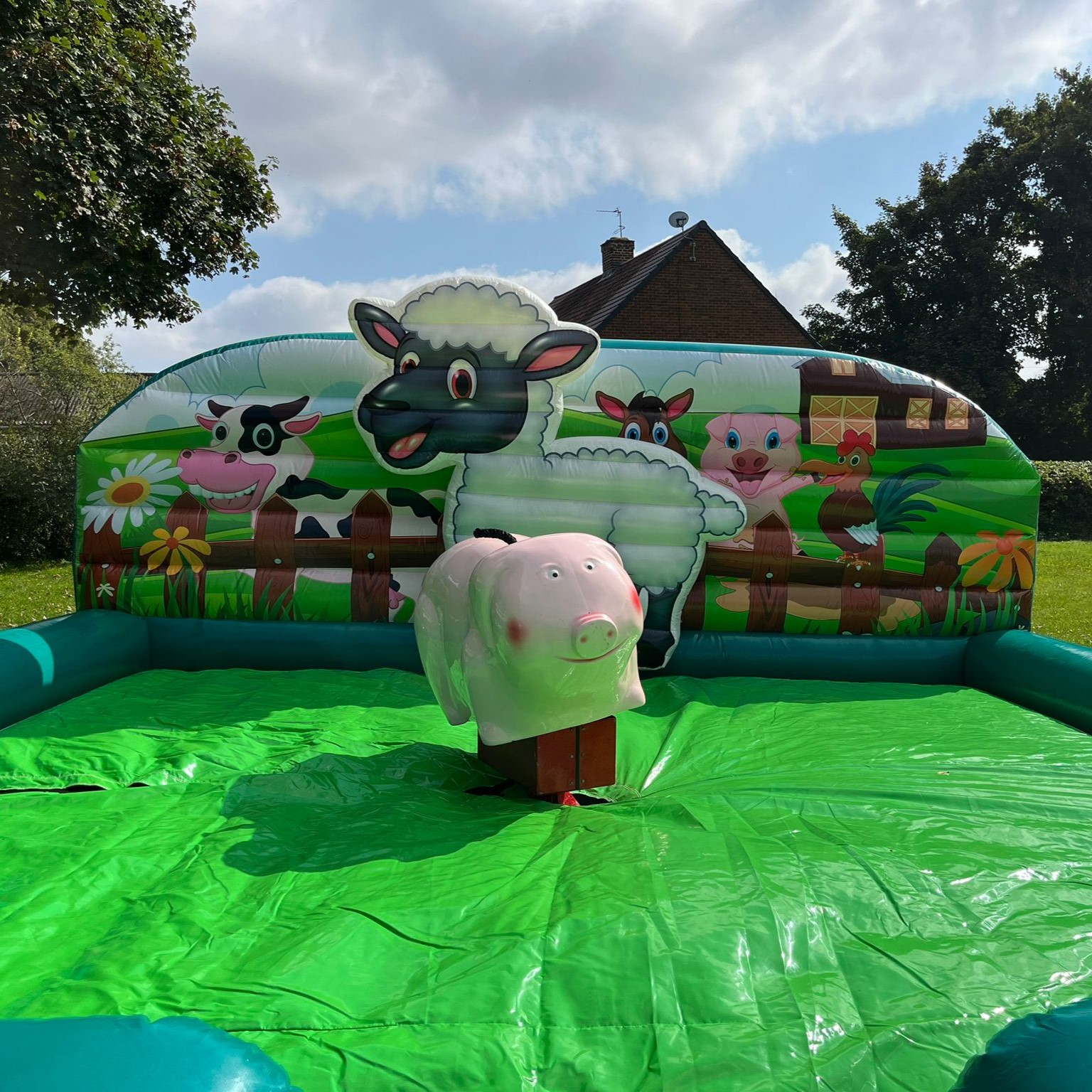 Rodeo Farmyard Pig - Inflatable, Bouncy Castle, Entertainment & Party ...