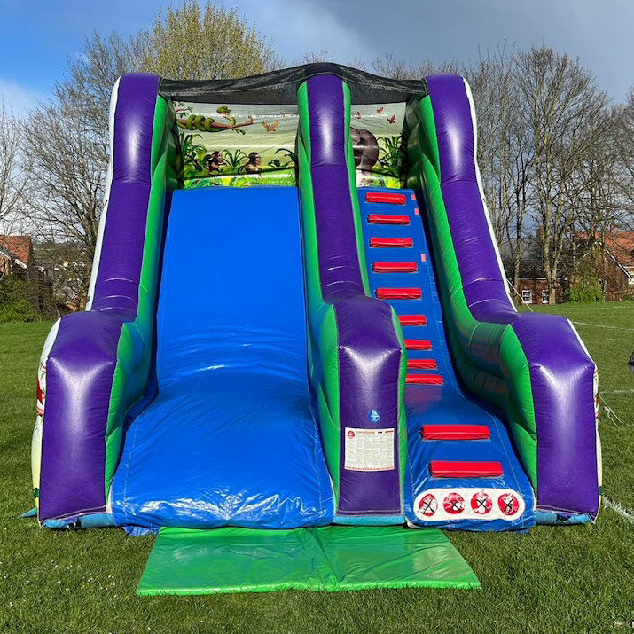 Large Inflatable Jungle Slide - Inflatable, Bouncy Castle ...