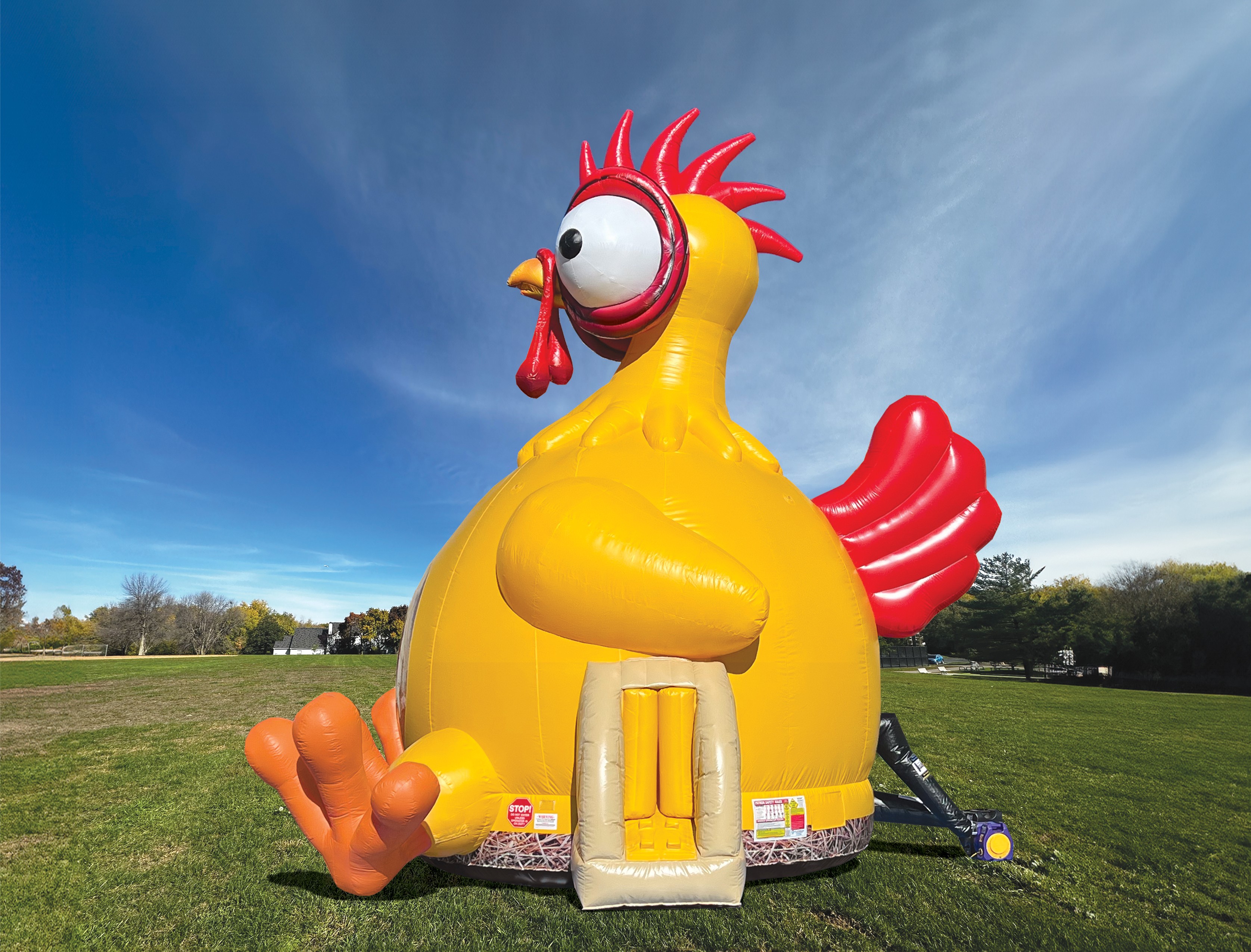 Chicken Bouncer - Rentals in Wisconsion | Blue Sky Inflatables, LLC
