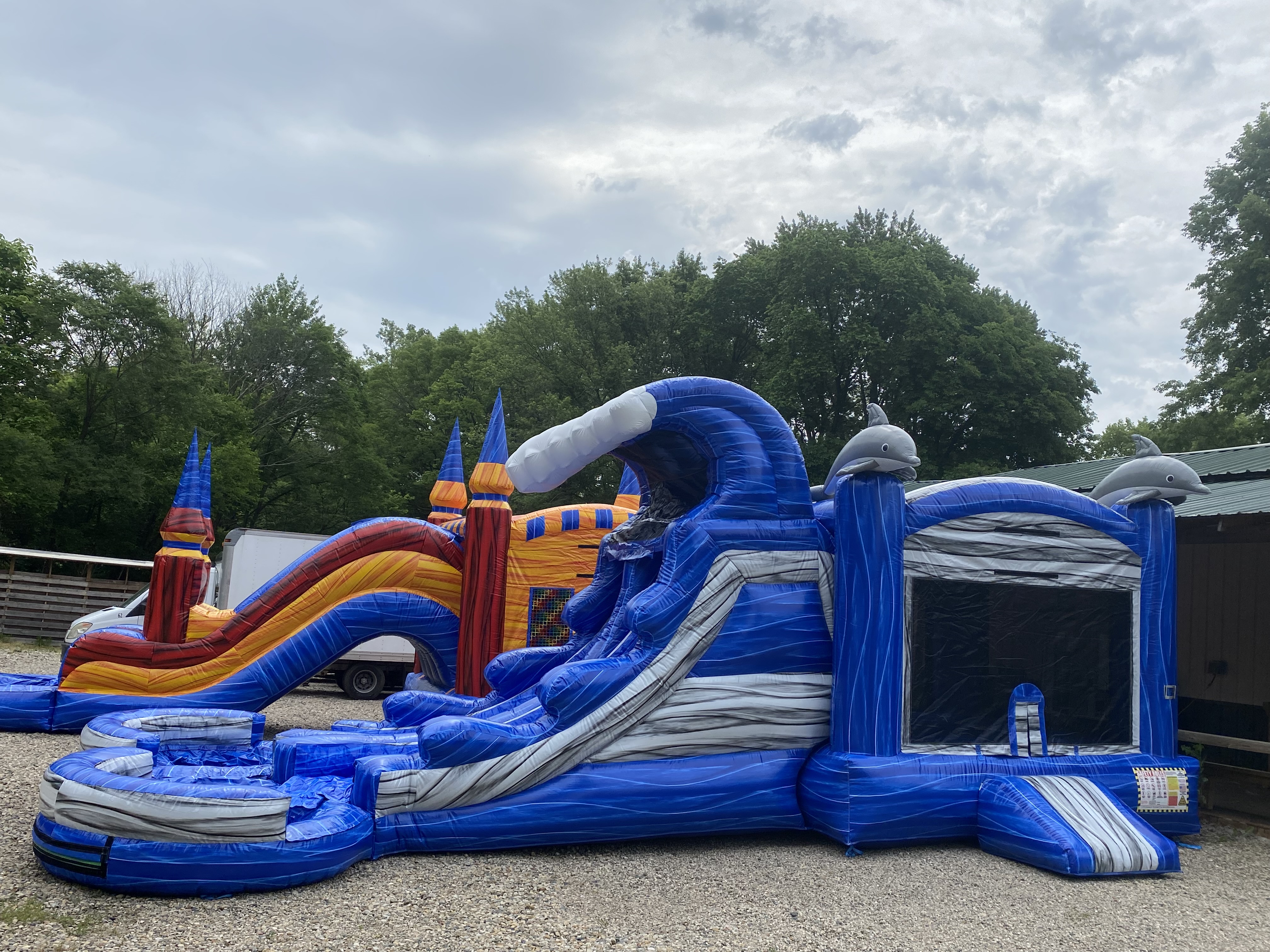 Blue Dolphin Double Combo WET - Hire in indianapolis | Indy Party ...