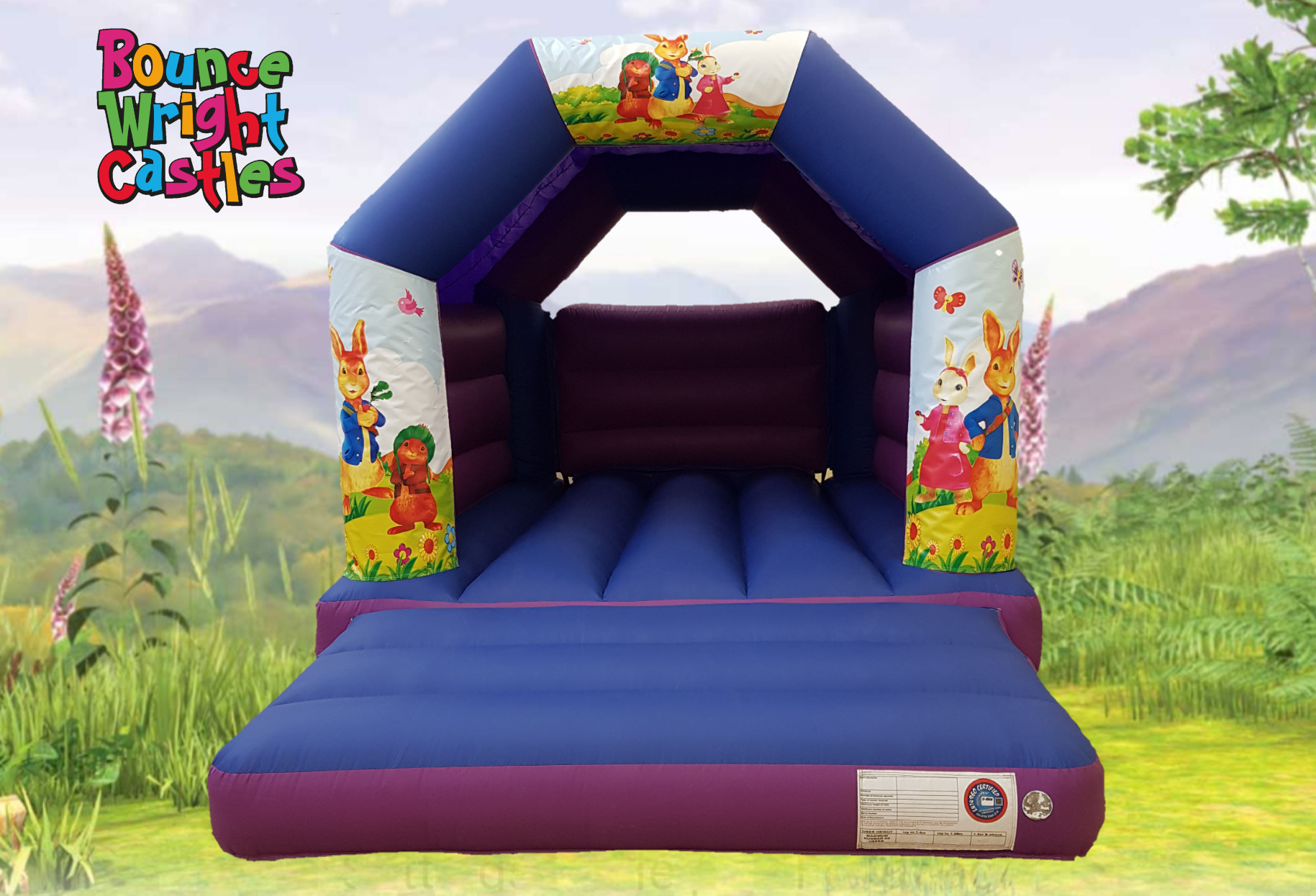 peter rabbit bouncy castle hire