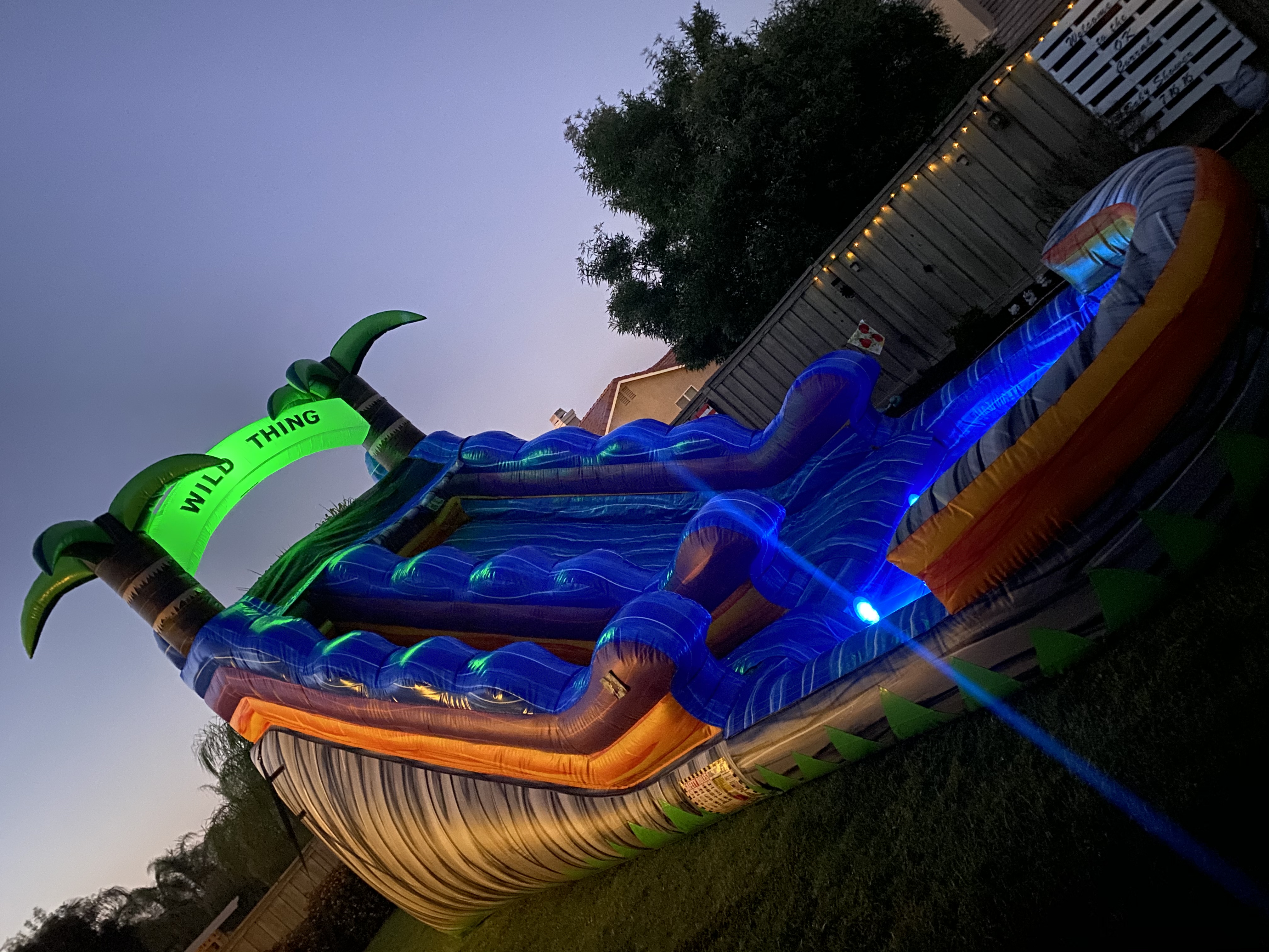 wild thing water slide