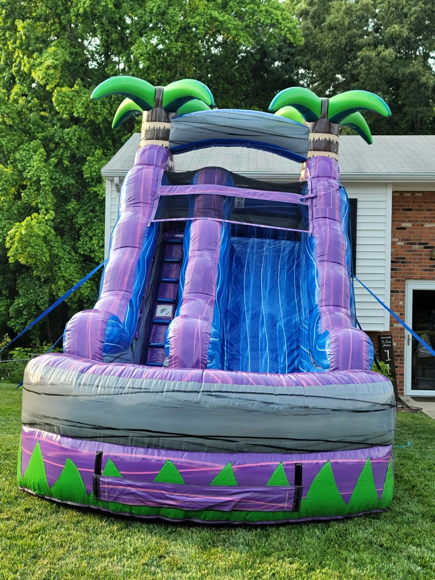 15ft Purple Crush Water Slide - Bounce House Rentals in Danville ...