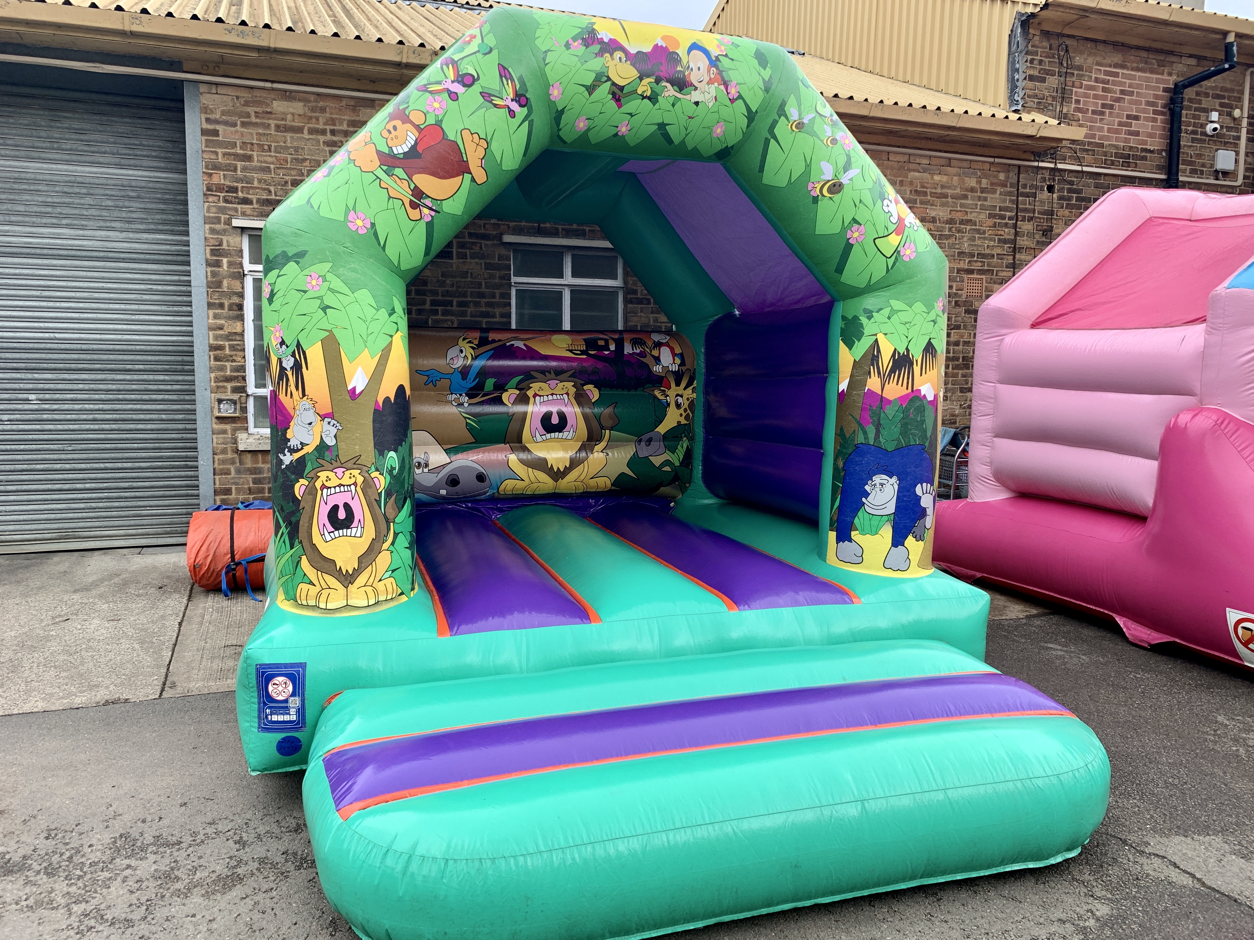 bouncy castle girls