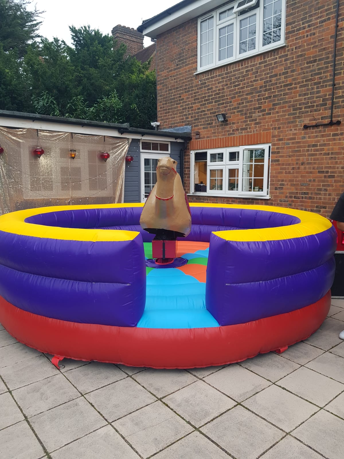 Bucking Camel Hire - Best Rodeo Bull Hire service in Essex, London ...