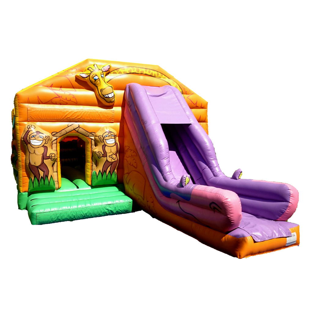 adult bouncy castle