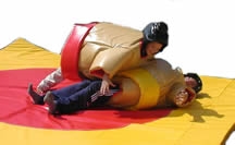 sumo wrestling simulator