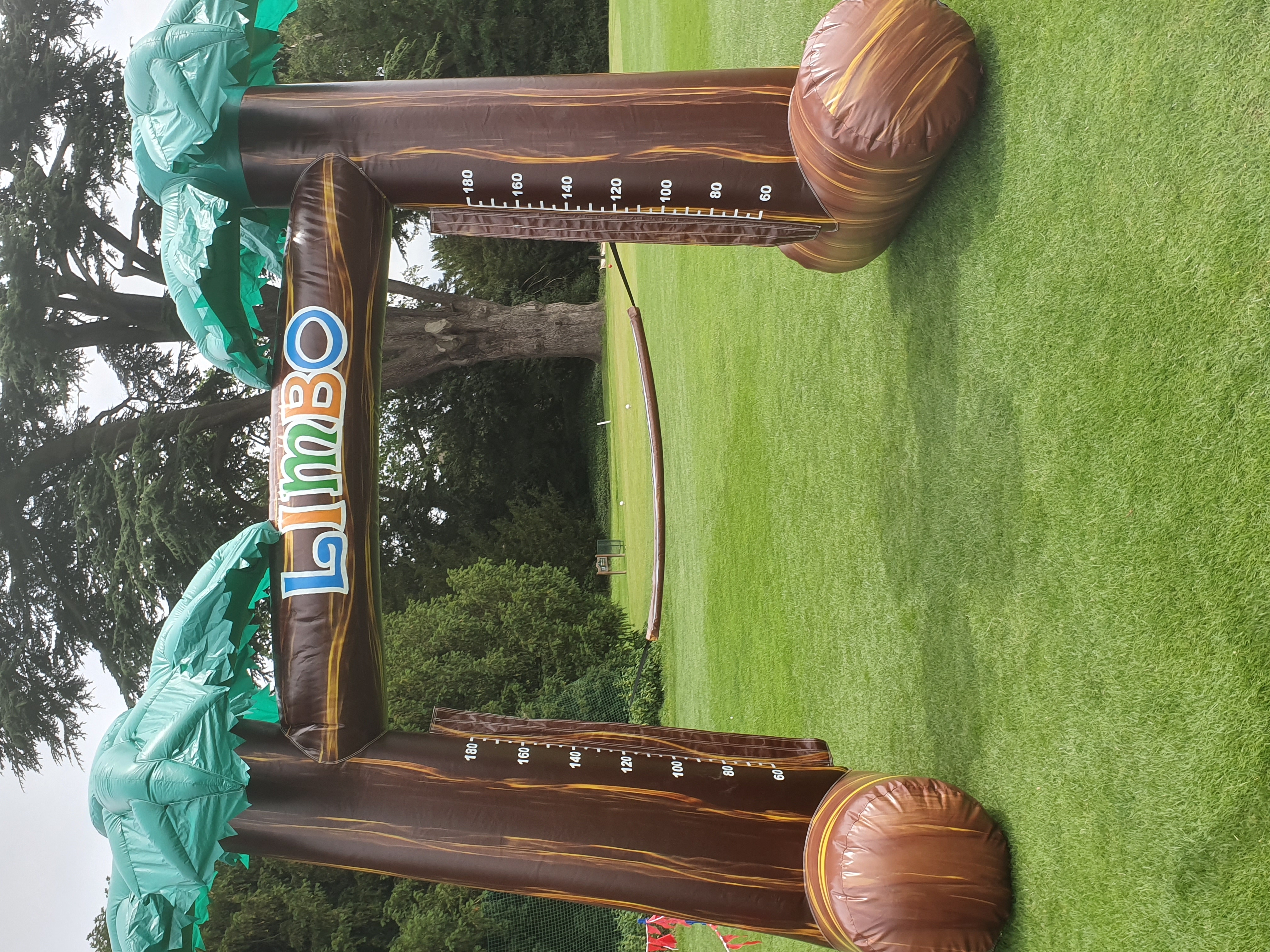 limbo bar game champions limbo bar game champions
