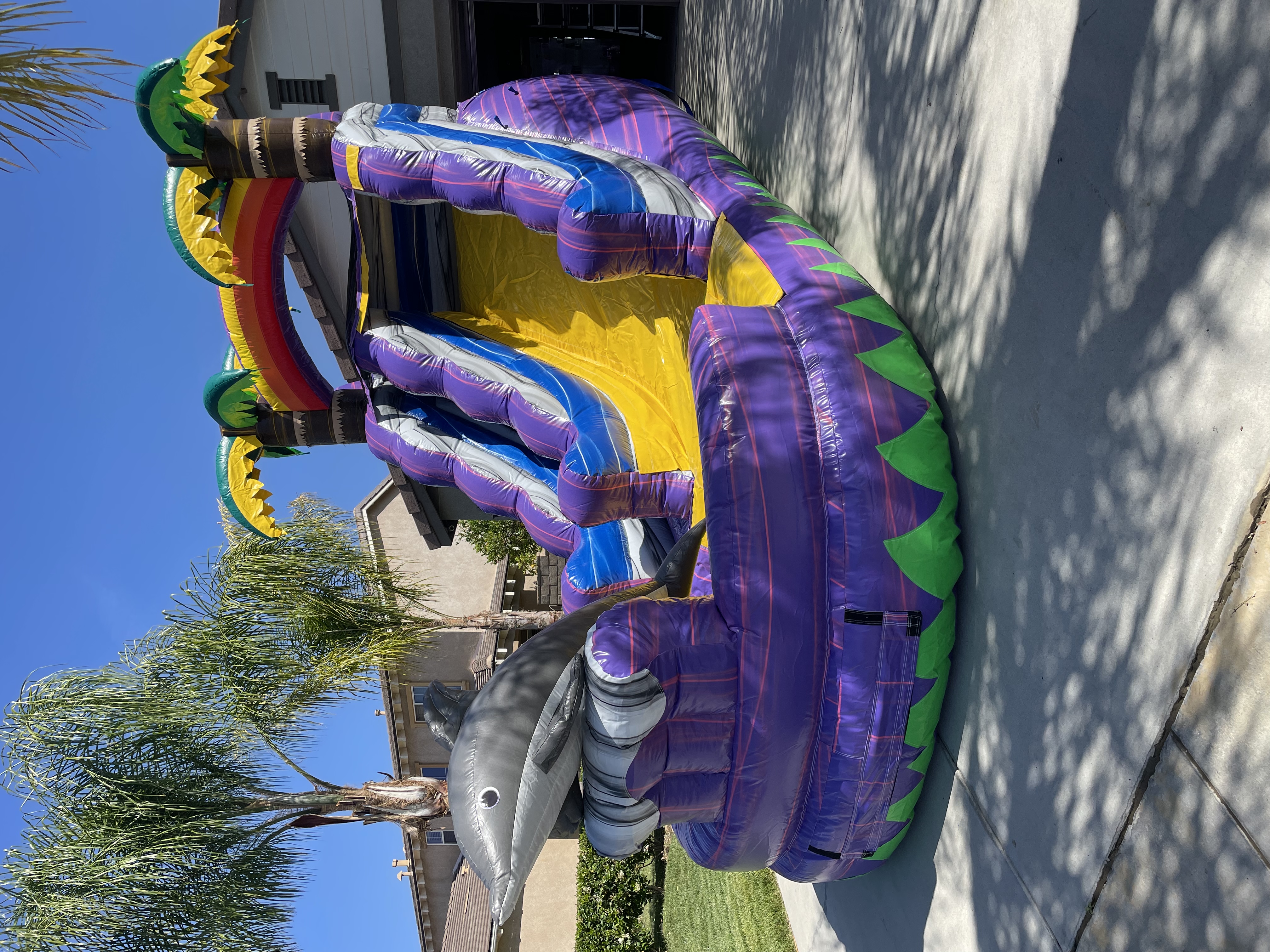 13' Dolphin Pool Slide - Bounce House Rental, Laser Tag, Water