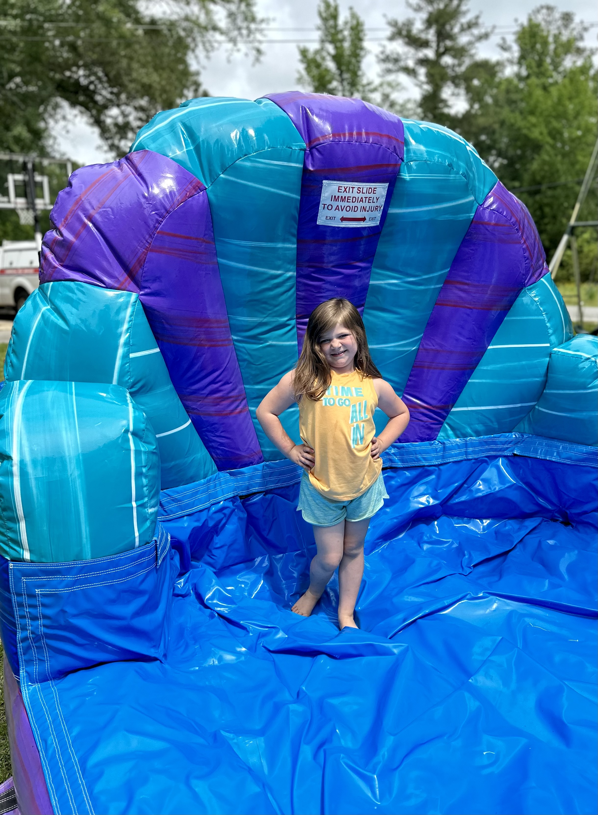 Mermaid Combo Bounce house and water slide rentals in Ivey Gray