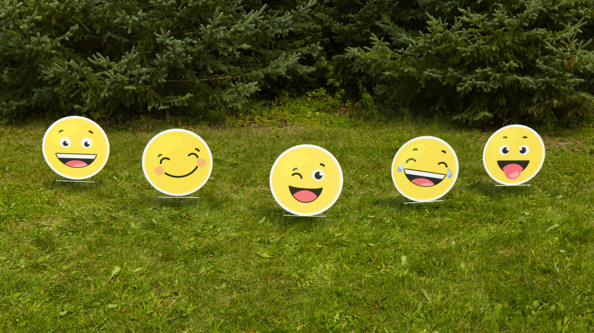 Characters you can add to customize your yard card Yard Card