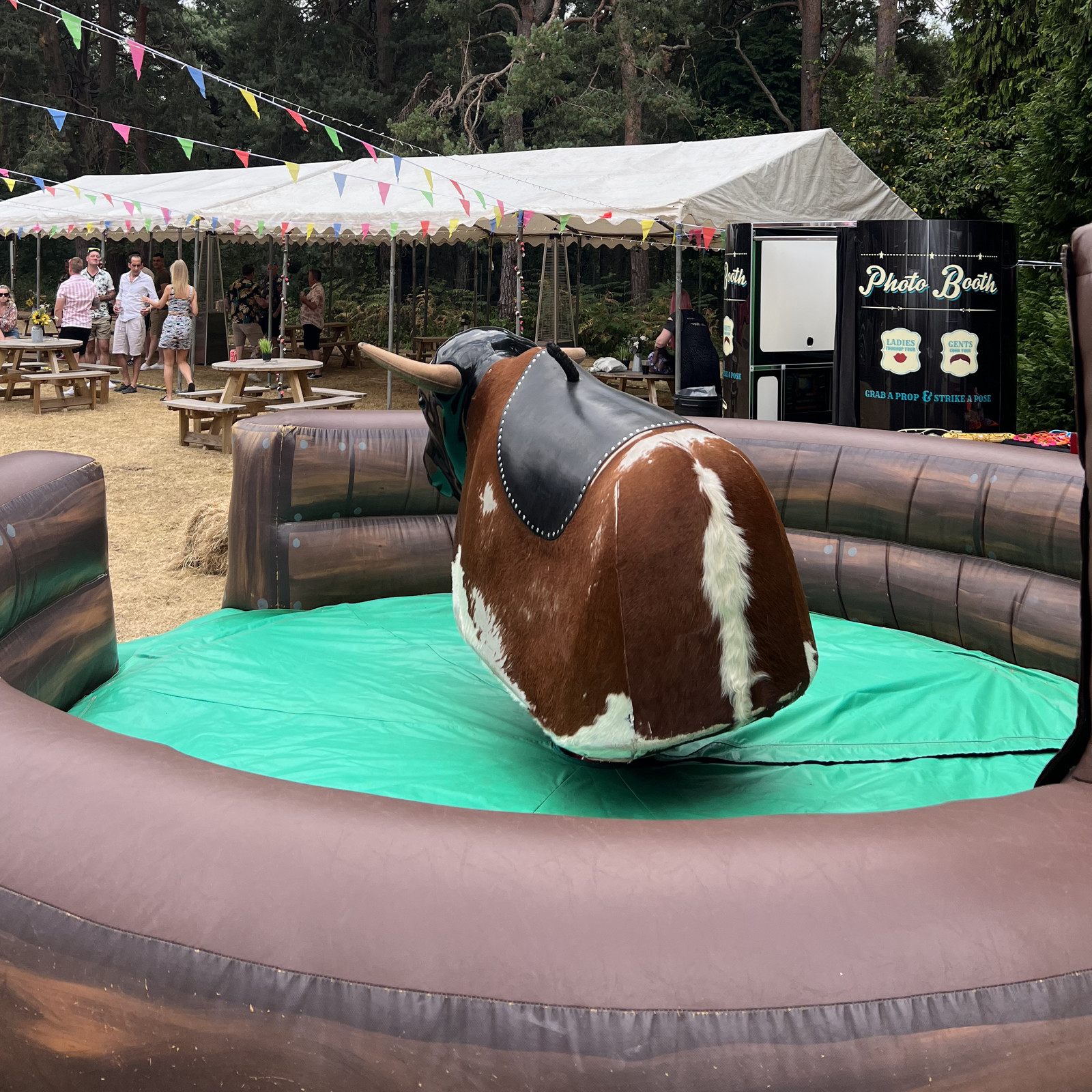 Rodeo Bull - Hire in SOUTHAMPTON, HAMPSHIRE AND SURROUNDING COUNTIES ...