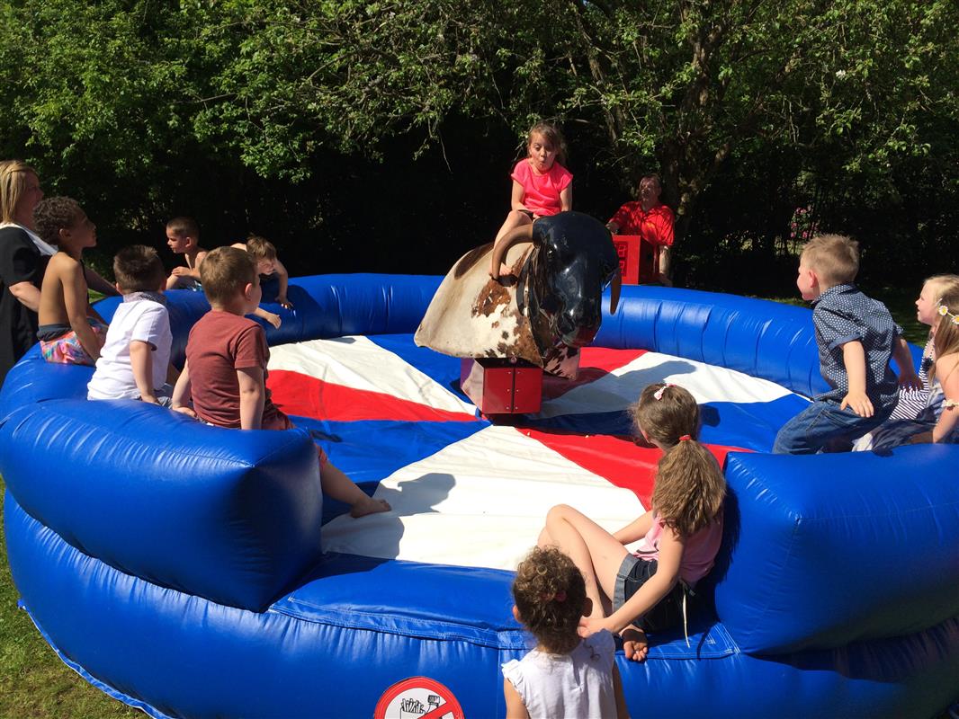 Rodeo bull - Bouncy Castle Hire in Wolverhampton, Walsall, Cannock ...