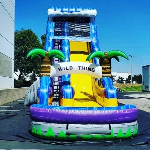 Water Slides Inflatable Rental in Zolfo Springs, Wauchula, Ona