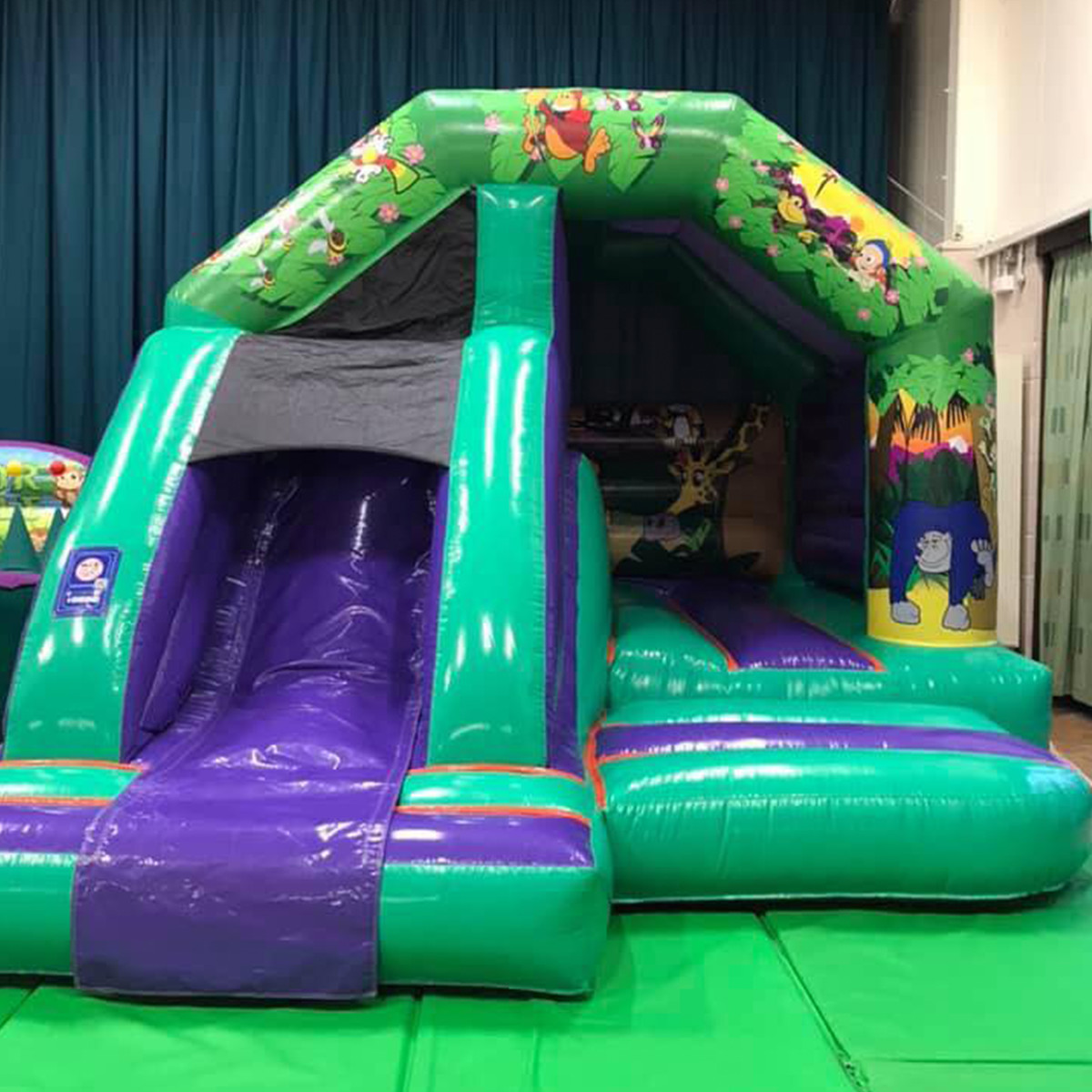 bouncy castle hire leitrim