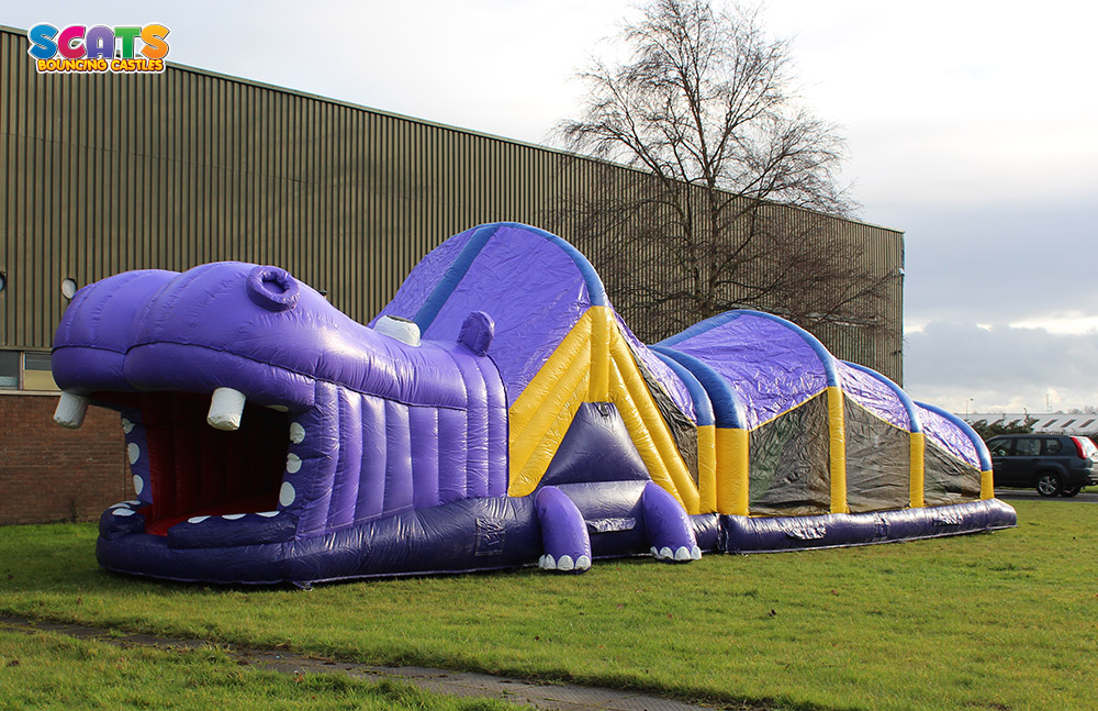 Henry the Hippo Obstacle Course - SBC62 - Bouncy Castle Hire in Carlow ...