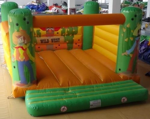 Adult Bouncy Castles Hire 21